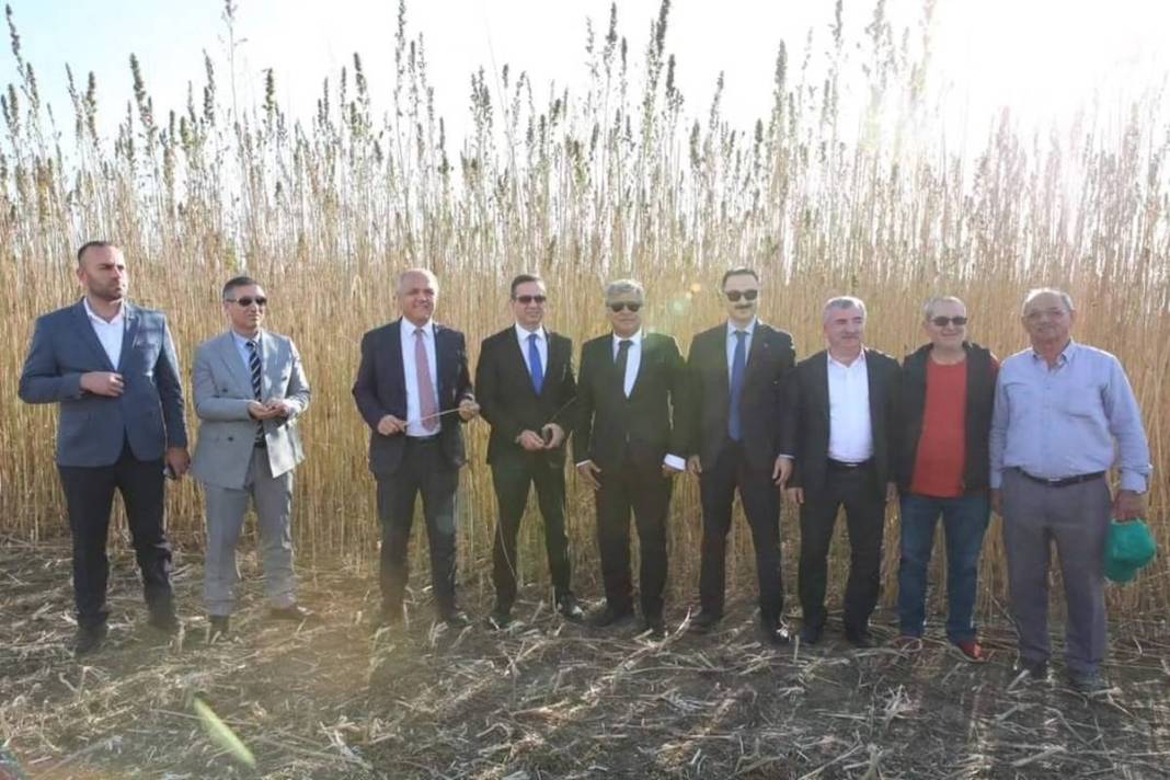 İlk hasat alındı: Kozmetikten tekstile birçok sektörde doping etkisi yapacak! Türkiye'de ilk kez uygulanıyor 17